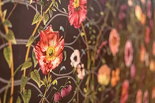 Appartements ALMA Detail Appartements ALMA Detail